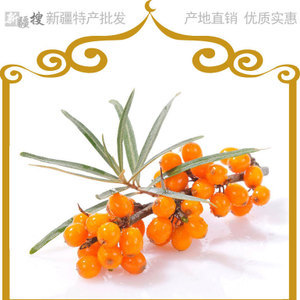 【沙棘花】沙棘花價(jià)格/圖片_沙棘花批發(fā)/采購(gòu)_沙棘花廠家/供應(yīng)商