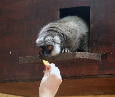 動(dòng)物飼養(yǎng)員圖片